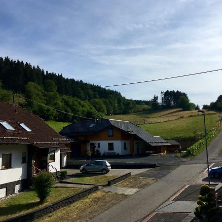 Ferienwohnung Am Nuerburgring/Wintersport Arft Acht Exteriér fotografie